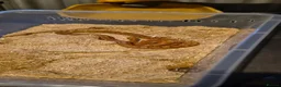 Corn Snake reptiles for sale: Corn snake with enclosure in Birmingham - Advert 2