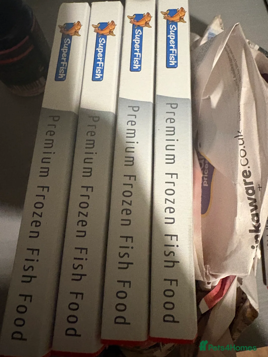 Axolotl reptiles for sale: Axolotl, tank and all accessories  - Advert 3