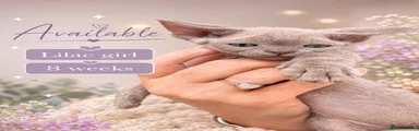 Lilac Girl 1