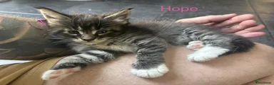 Hope