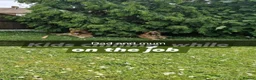 German Shepherd dogs for sale: 8 pups available   in Doncaster - Advert 5