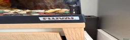 Plecos fish for sale: Fluval 125L Aquarium & Oak Cabinet + Extras - Advert 4
