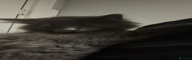 Girl 4 