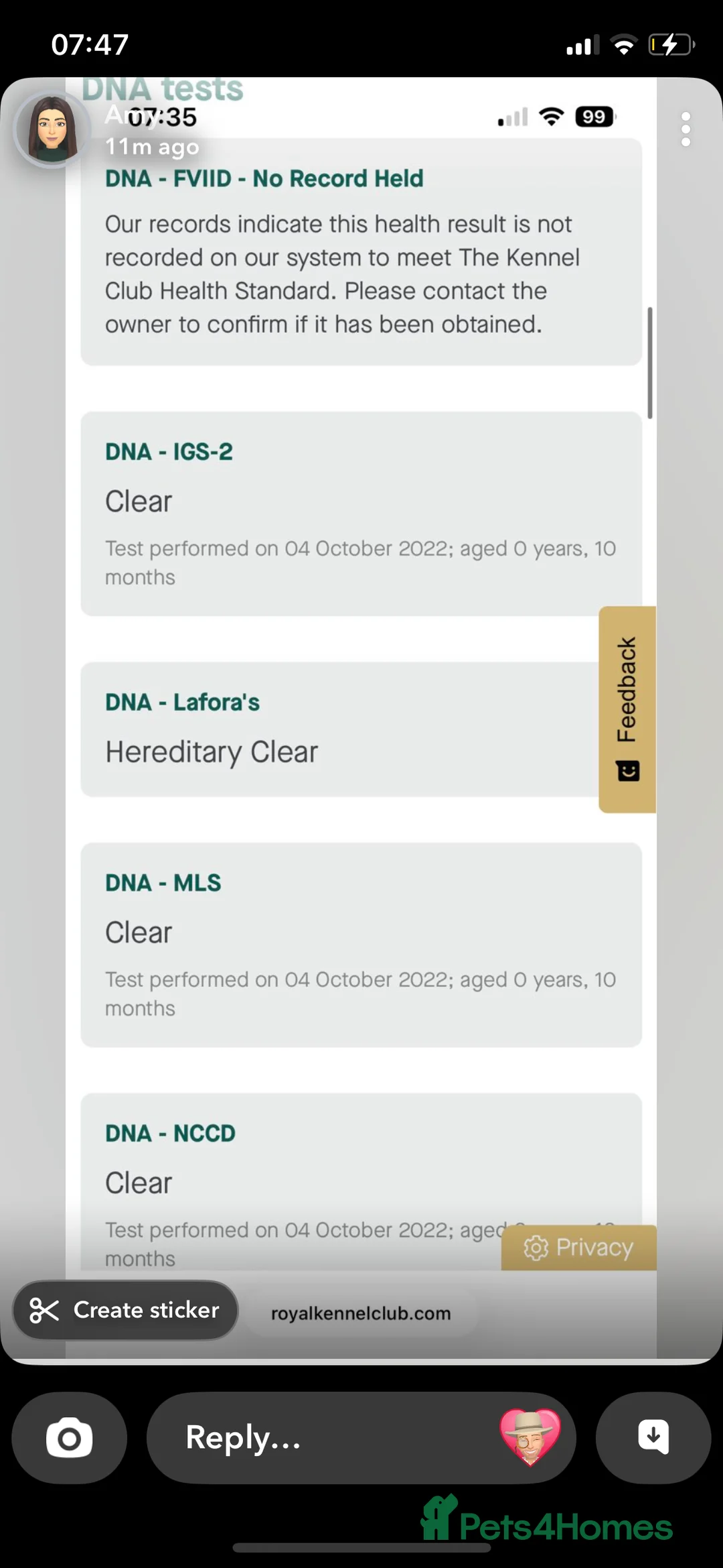 Beagle dogs for stud: Beautiful Beagle Stud  in Pontefract - Advert 2