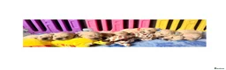 Golden Retriever dogs for sale: Beautiful Kc registered Golden Retriever puppies  - Advert 14