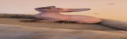Sphynx cats for sale: Adorable Sphynx Kittens – 2 Males & 1 Female  - Advert 6
