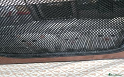 Ragdoll cats for sale: Ragdoll 2 girl🐈 and 3 boy🐈‍⬛. - Image 17