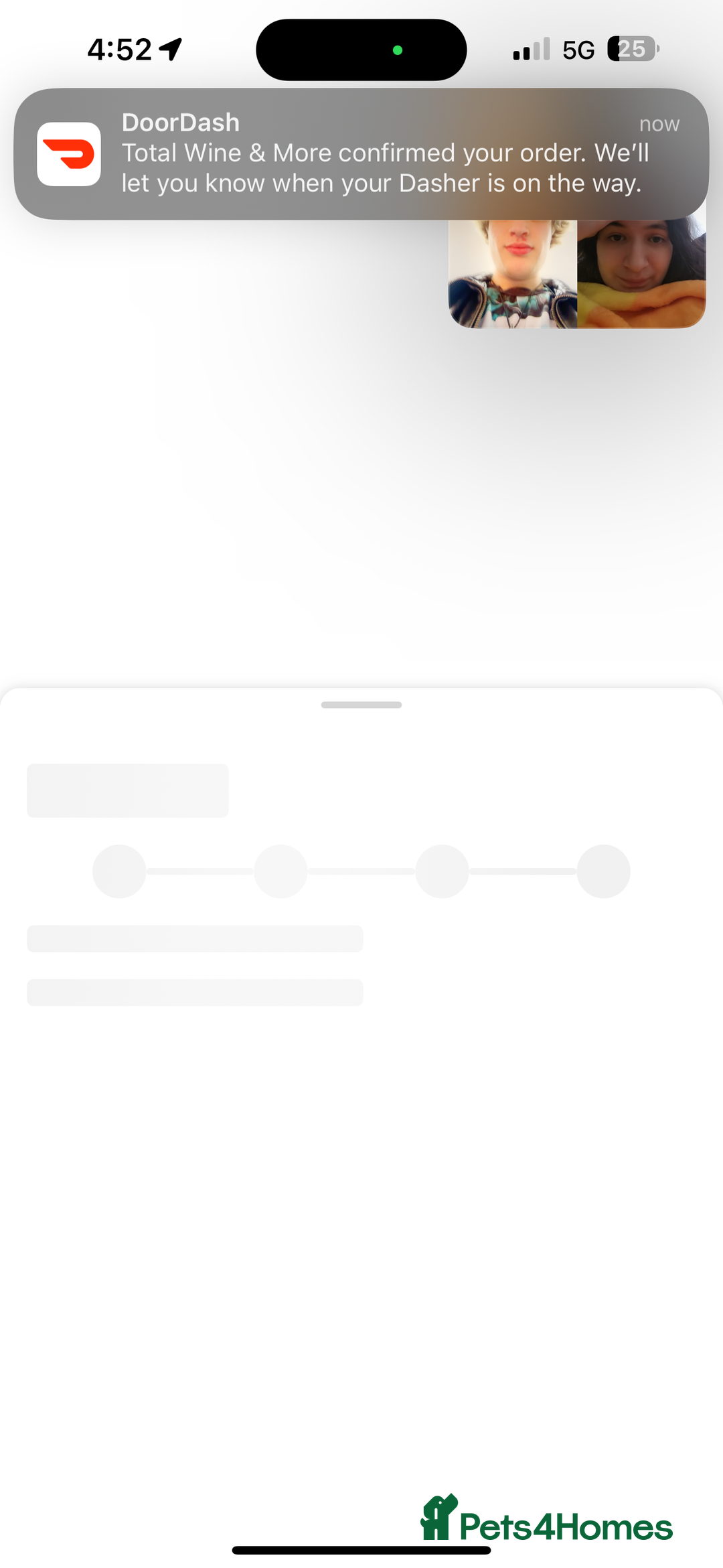 Mixed Breed rabbits for sale: Loafy For Sale! Mixed Between Rex + Dwarf - Advert 2