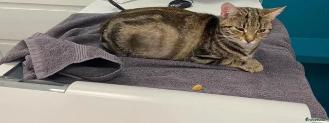 Yum yum 
