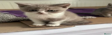 George 