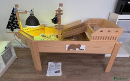 Tortoise reptiles for sale: Dwarf Hermann Tortoise with enclosure - Image 1