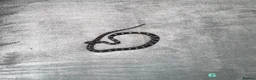Corn Snake reptiles for sale: Baby Corn Snakes of various colours. in Hastings - Advert 9