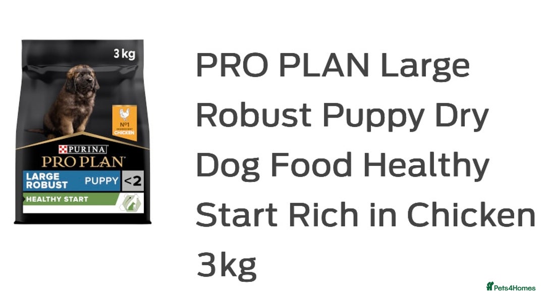 Labrador Retriever dogs for sale: Kc Labrador puppy ALLinjectionsfleawormchipinsured - Image 18