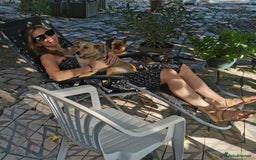 Mixed Breed dogs for sale: Adopt Adorable Rescue puppies Miki & Alice!  - Image 18