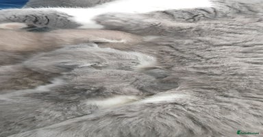 British Shorthair cats - Advert 12