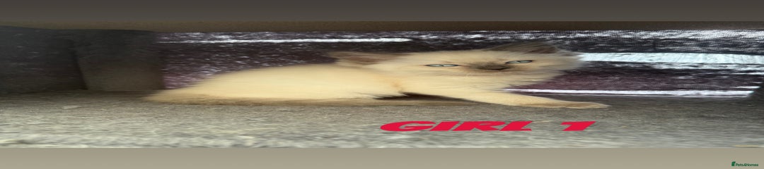 Girl 1