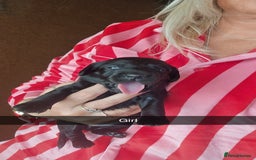 Mixed Breed dogs for sale: Labradoodle x dachshund  - Image 9