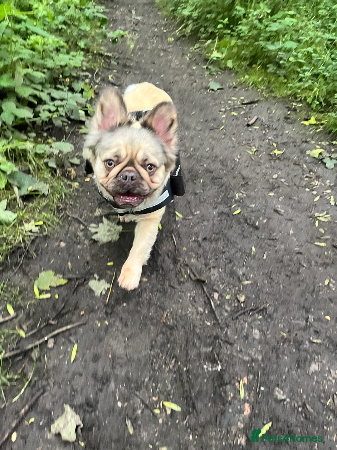 Gallery Image {{count}}