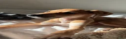 Lurcher dogs for sale: Whippet greyhound saluki  in Dorchester - Advert 10