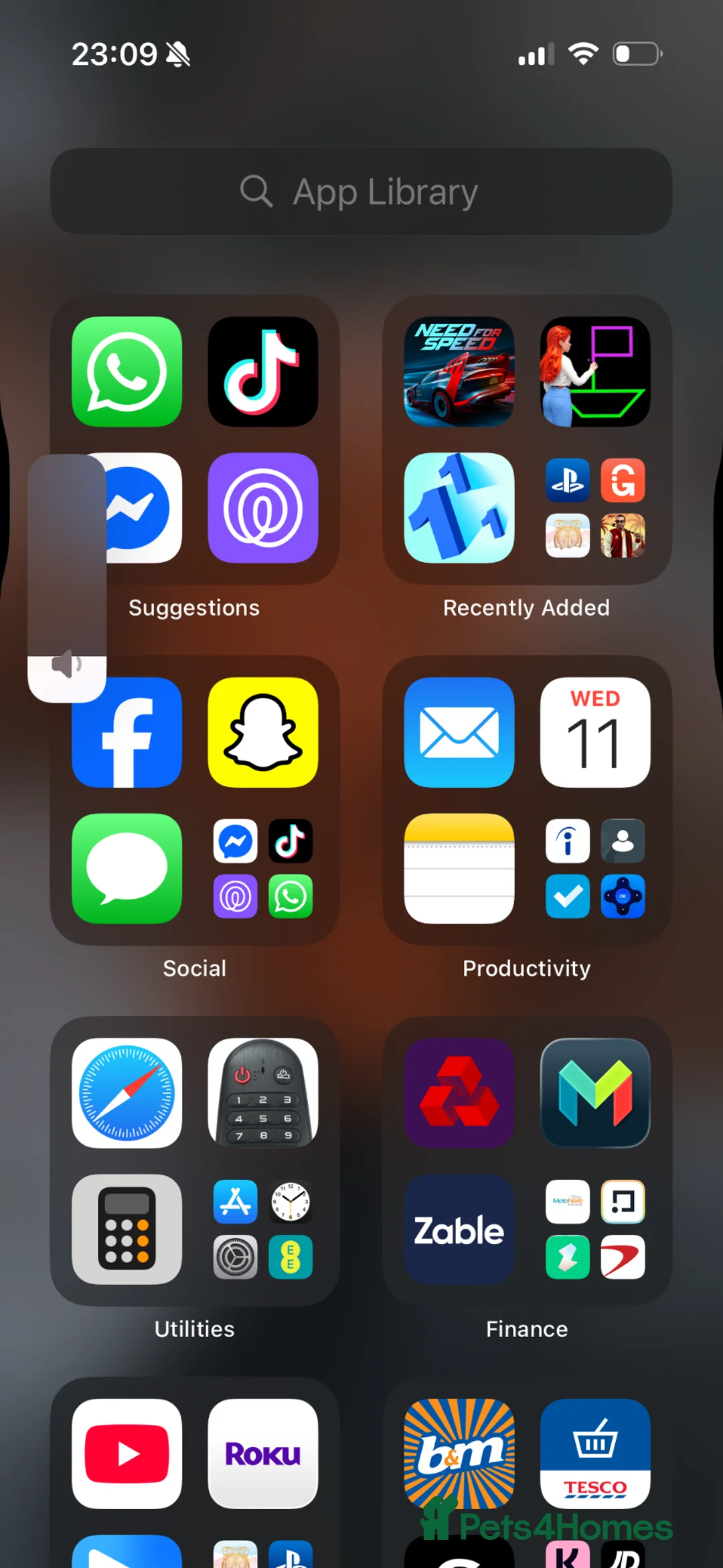 Mixed Breed dogs for sale: Luna  - Advert 2