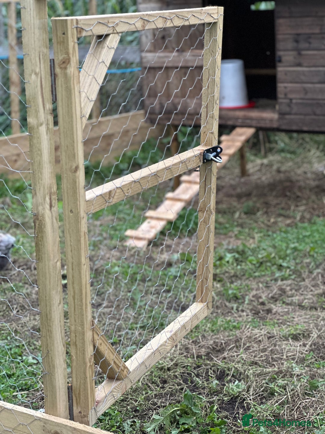 Chickens poultry for sale: Chicken Coops - excellent quality - British Made - Image 14