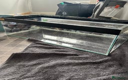 Turtle reptiles for sale: Reptile/turtle tank/terrapin/vampire crab tank - Image 2