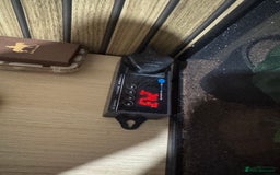 Gecko reptiles for sale: Crested gecko and equipment ready for new home!!  - Image 5