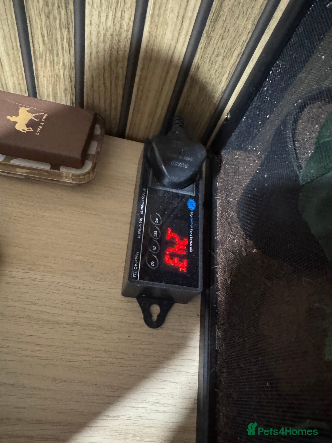 Gecko reptiles for sale: Crested gecko and equipment ready for new home!!  - Image 5