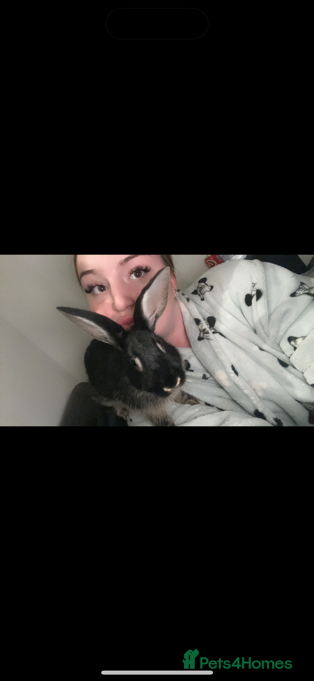 Mixed Breed rabbits for sale: Silver back rabbits - Image 7