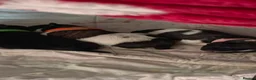 Shih Tzu dogs for sale: Shih Tzu puppies  - Advert 4
