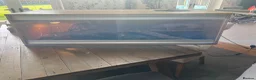 Bearded Dragon reptiles for sale: FEMALE BEARDED DRAGON WITH VIVARIUM  - Advert 5