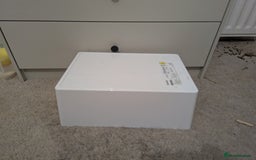 Mini Lop rabbits for sale: Mini Lop for a good home 🥰 - Image 25