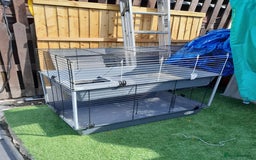 English Lop rabbits for sale: 3 rabbits and full setup - Image 4