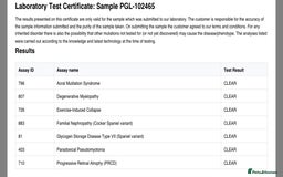 Cocker Spaniel dogs for stud: Cocker spaniel stud *PROVEN* - Image 9