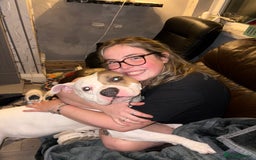 Mixed Breed dogs for sale: Looking to Rehome My Beautiful Girl, Lola - 2 yrs - Image 4