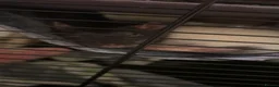 Rat rodents for sale: 4 rats + cage and accessories  - Advert 2