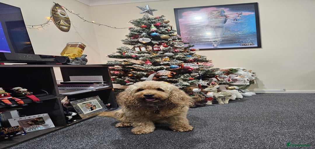 Gallery Image {{count}}