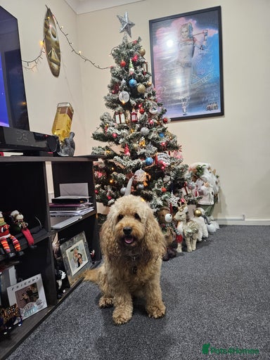 Gallery Image {{count}}