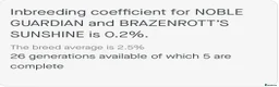 German Shepherd dogs for sale: Ready to leave NOW! 2 outstanding GSD puppies - Advert 14