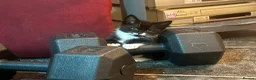 Munchkin cats for sale: Cute Tuxedo Kitten is looking 4 good home - Advert 4