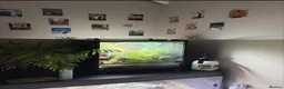 Gecko reptiles for sale: 45x45x60 custom terrarium  - Advert 2