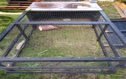 Havana rabbits for sale: Lovely little boy rabbit- hutch & run inc. - Advert 4