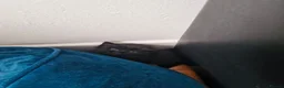 Mixed Breed cats for sale: Lovely black kittens in Bedford - Advert 9