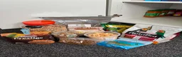 Conures birds for sale: St Thomas conure (brown throated) - Advert 11