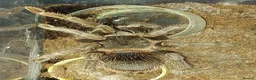 Tarantulas invertebrates for sale: Three Beautiful Female Tarantulas in Leicester - Advert 5