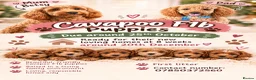 Cavapoo dogs for sale: F1B Cavapoo in Wakefield - Advert 2