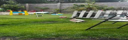 Ducks poultry for sale: Welsh harlequin drake rehome  in Saint Helens - Advert 1