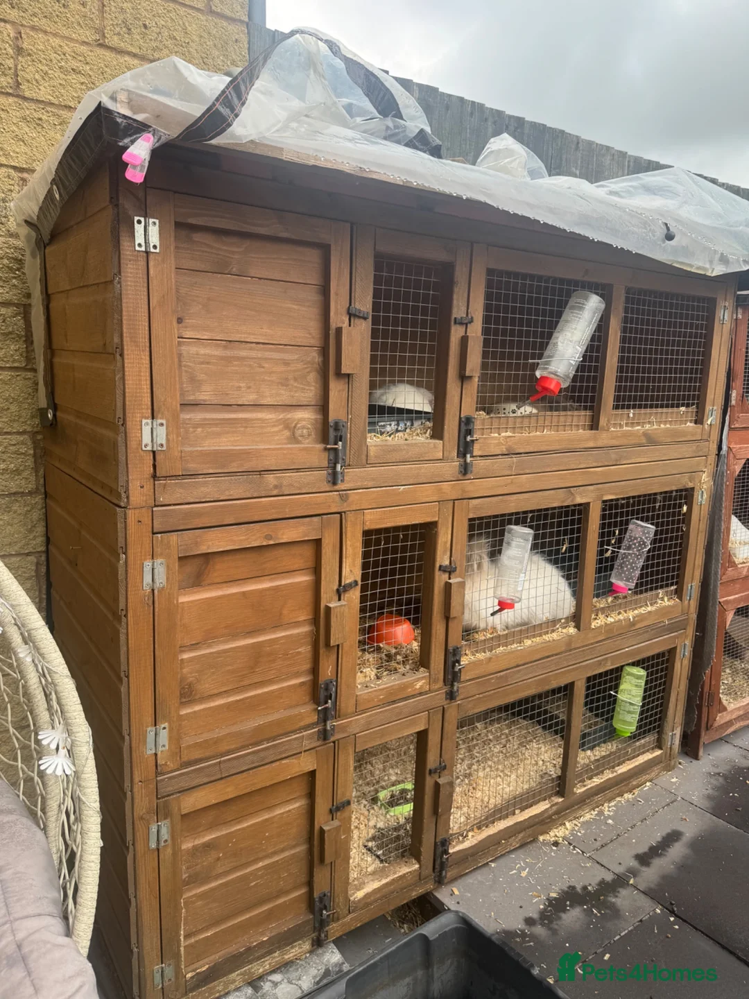 Mixed Breed rabbits for sale: Rabbit hutch for sale - Advert 1