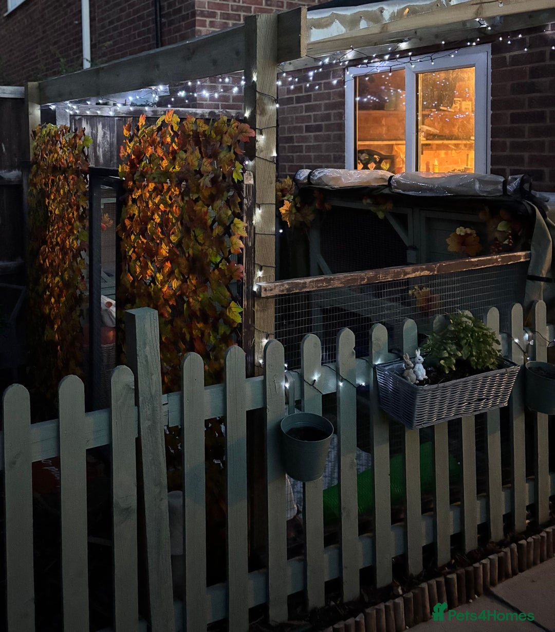 Gallery Image {{count}}