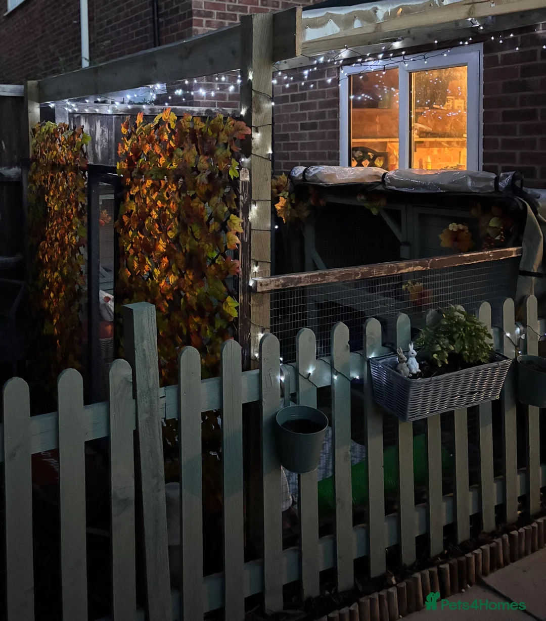 Gallery Image {{count}}